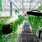 robot arm spraying plants in a greenhouse